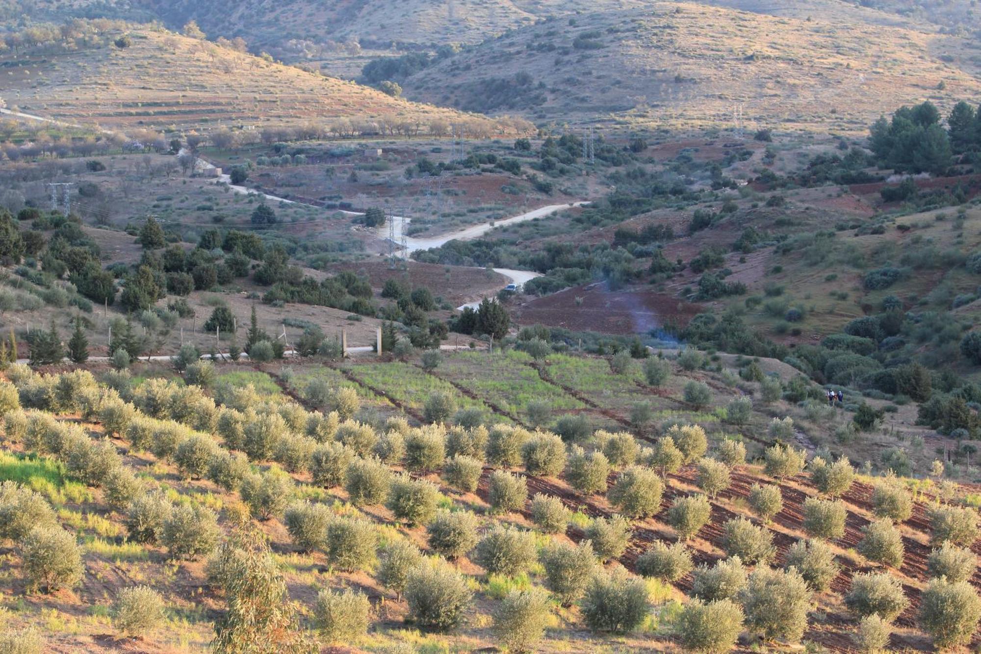 La Belle Vue Elmazini Daire Demnat Dış mekan fotoğraf